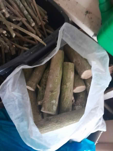 Photo of free Wood for wood stove (HX3) #2