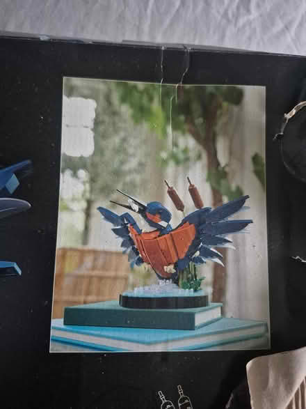 Photo of free Lego kingfisher (Roundhay LS8) #2