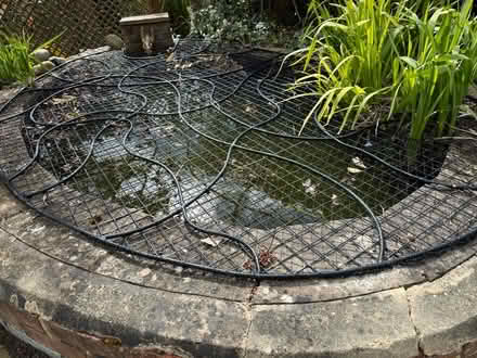 Photo of free Pond cover (Middleyard GL5) #1