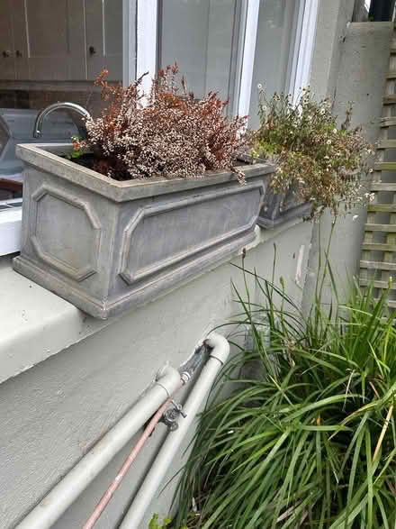 Photo of free Garden pots (Rathmines) #2