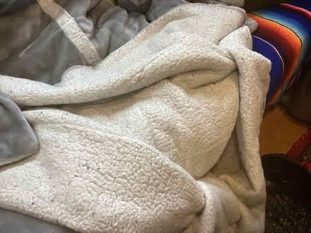 Photo of free Queen size velour blanket (Northwest Seattle, phinney) #2