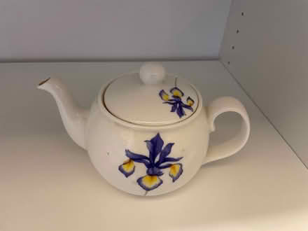 Photo of free Two person teapot (BR3) #1