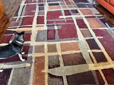 Photo of free Area rugs (Lago Vista) #1