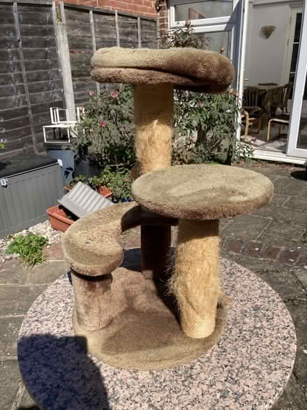 Photo of free Cat Tower (E12) #1