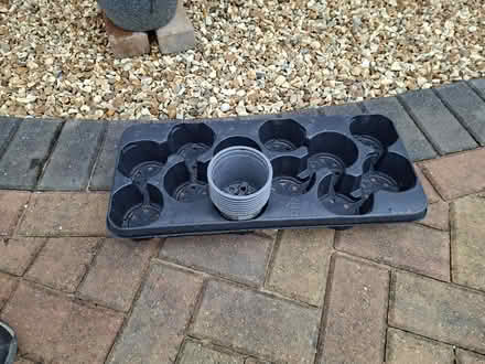 Photo of free 8 x 4 inches diameter flower pots and tray (Woodley RG5) #1