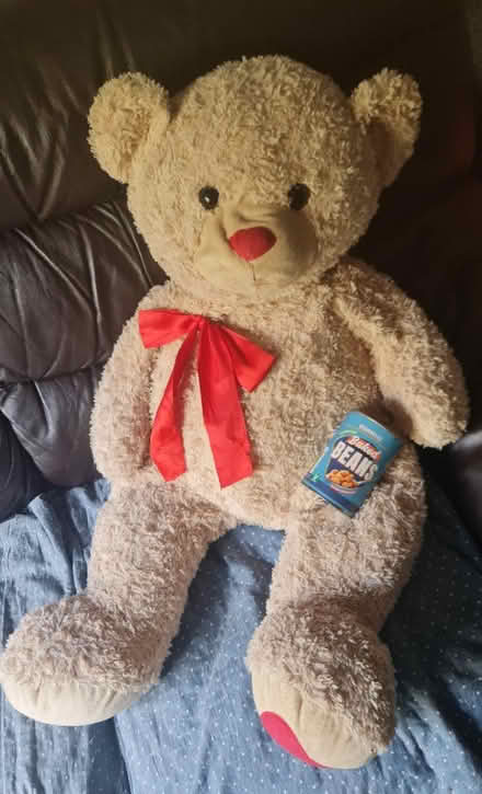 Photo of free Big Teddy bear 🧸 (Croydon, CR0) #1