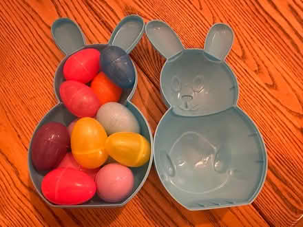 Photo of free Hollow Easter bunny + eggs (Beaverbrook) #1