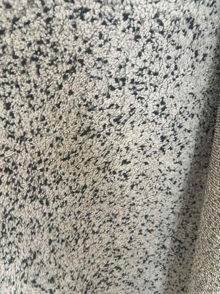 Photo of free Large high pile Ikea rug (Caldicot NP26) #1