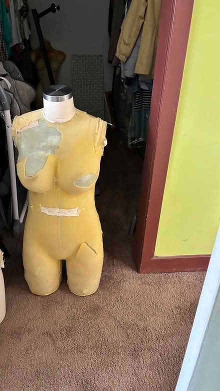 Photo of free Mannequin form (Lake Cook and Rte 41) #2