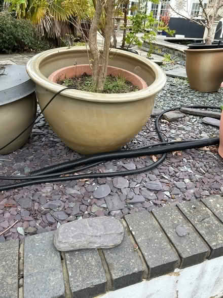 Photo of free Large ceramic pot (Haldens AL6) #1