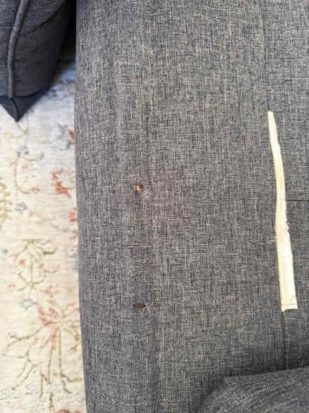 Photo of free Sofa (St.Albert) #3