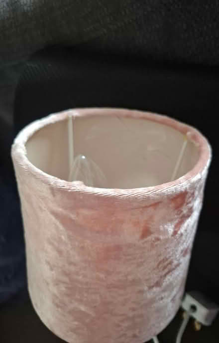 Photo of free Small pink lamp (Hanworth TW13) #2