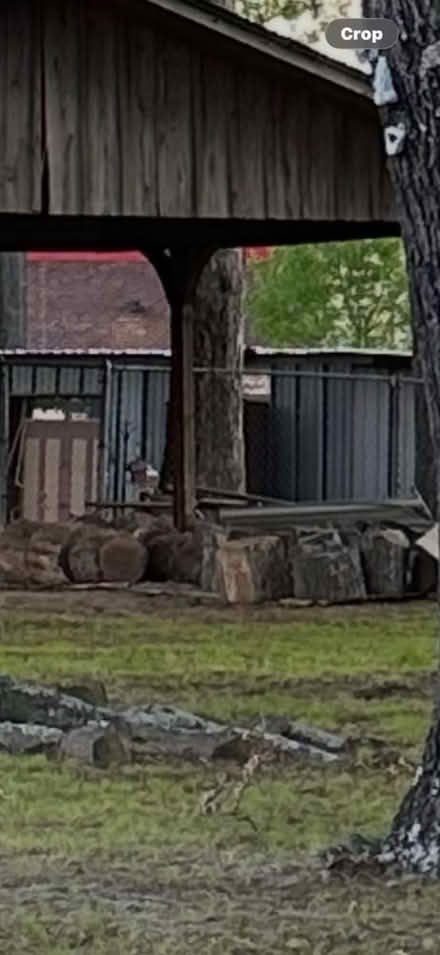 Photo of free hardwood (Sherwood , near Casey’s) #1