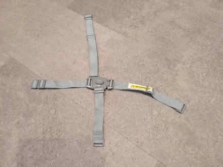 Photo of free 5 point harness but 1 is missing (Bossard court LU7) #1