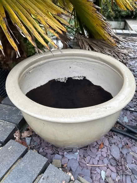 Photo of free Large pot (Haldens AL6) #1