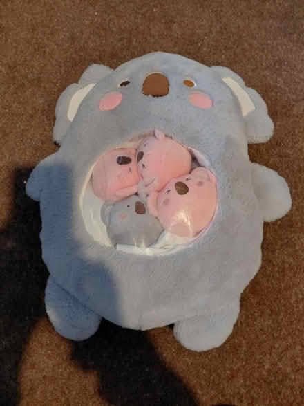 Photo of free Large koala teddy (Dorking) #1
