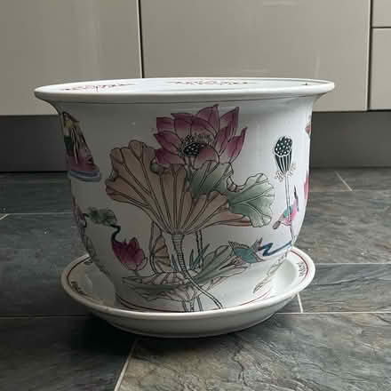 Photo of free Decorative Plant pots (Bracknell RG12) #2