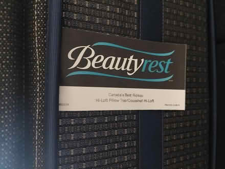 Photo of free Beautyrest Double Sprung Mattress (Parkdale (Queen & Lansdowne)) #3