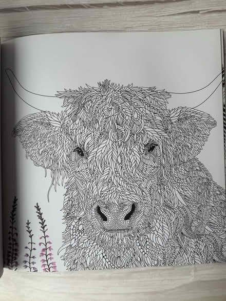 Photo of free The Menagerie Animal Colouring In Book (Kings Furlong RG21) #3