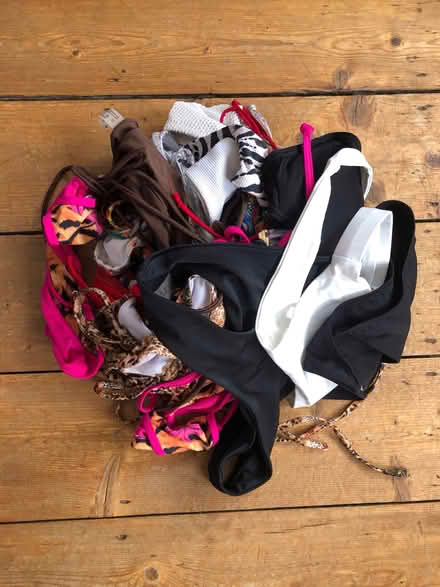 Photo of free Teenage girl bikinis (Bear Flat BA2) #1
