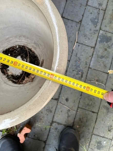 Photo of free Ceramic plant pot (Haldens AL6) #2
