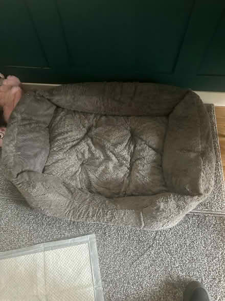 Photo of free Grey dog bed (cosham po6 3fl) #1