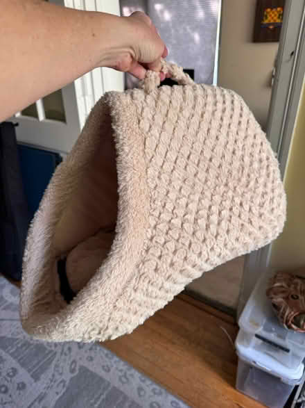 Photo of free Cat supplies (NW DC — 20011) #4