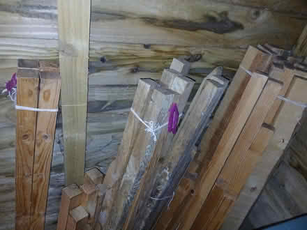 Photo of free Garden Stakes (West Bridgford NG2) #2