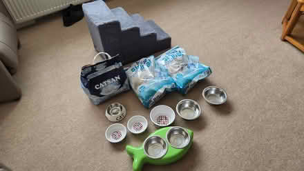 Photo of free Cat accessories (Elgin) #1