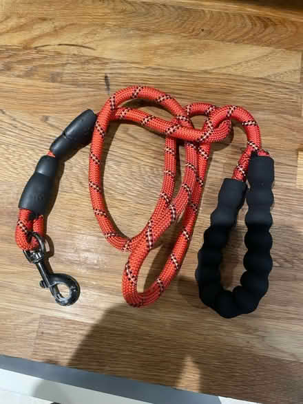 Photo of free Dog lead (Hackney E9) #1