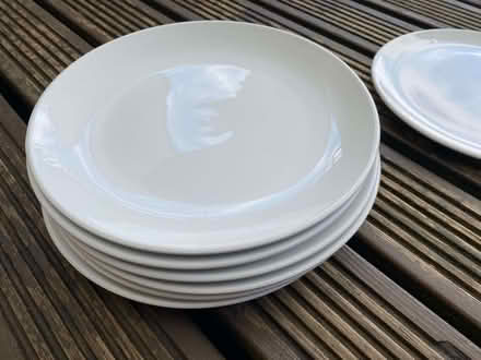 Photo of free Dinner Plates (Cogges OX28) #1