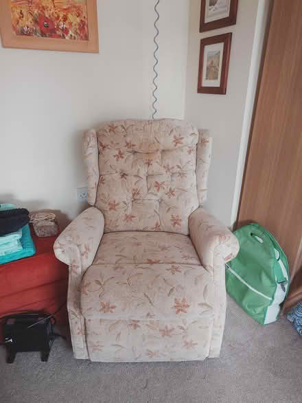 Photo of free Electric riser recliner (Abingdon OX14) #2