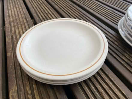 Photo of free Dinner Plates (Cogges OX28) #2
