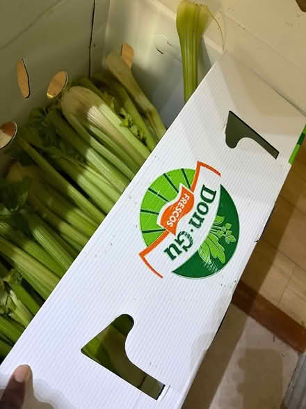 Photo of free celery (South Arlington) #2