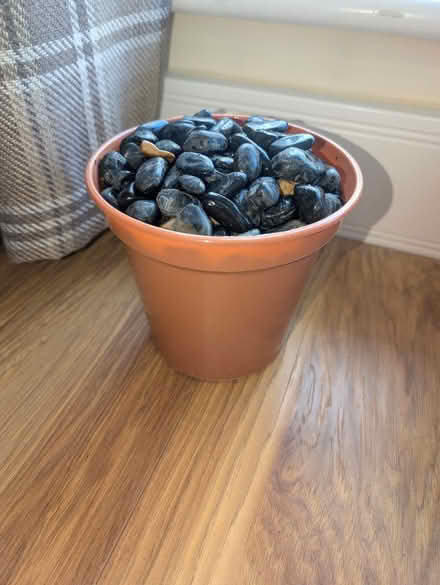 Photo of free Decorative Black River Stones (Blackwall, E14) #1