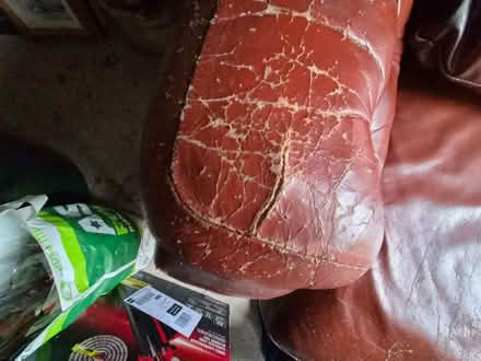 Photo of free Old leather sofa (Clieves Hills L39) #3