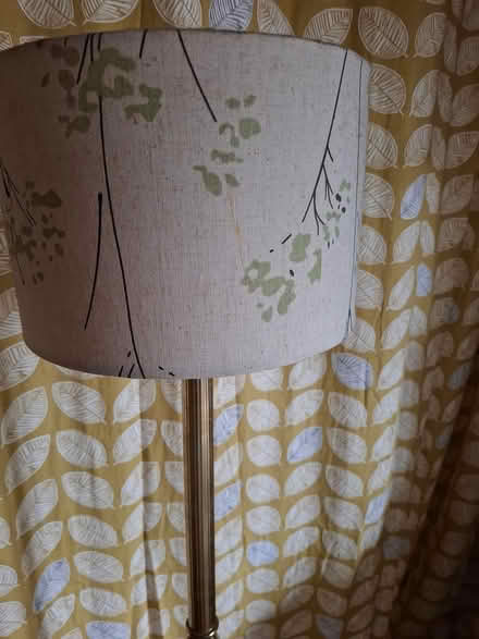 Photo of free Standard lamp (LE17 nr Lutterworth /rugby) #3