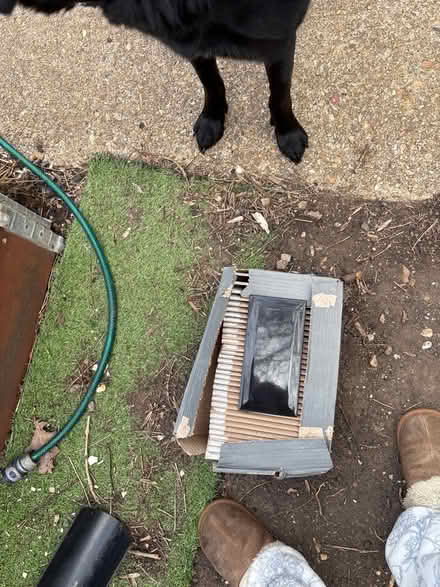 Photo of free Box of black tiles (Fareham PO13) #2