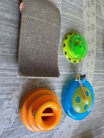 Photo of free Cat supplies (NW DC — 20011) #2