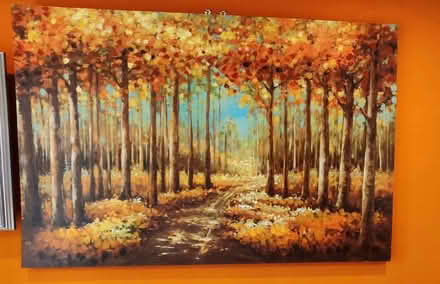 Photo of free Large wall canvas (Gourdon DD10) #1