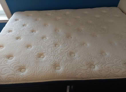 Photo of free Beautyrest Double Sprung Mattress (Parkdale (Queen & Lansdowne)) #2