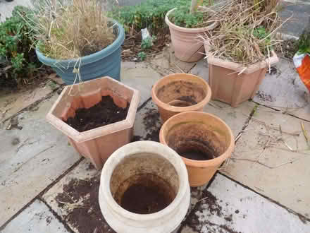 Photo of free Plant pots - nine (Penrhyn Bay LL30) #1