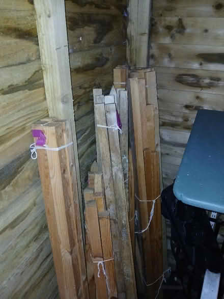 Photo of free Garden Stakes (West Bridgford NG2) #1