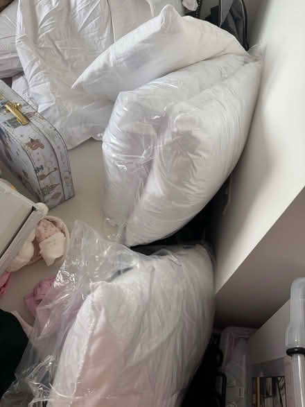 Photo of free pillows & duvet (Heybridge CM9) #1