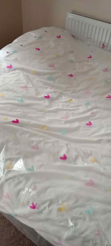Photo of free Shower curtain (Northgate Village CH2) #4