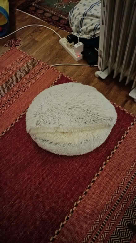 Photo of free Cat bed/cushion (Montpelier Road area BN1) #1