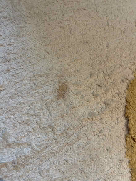 Photo of free 5ft x 7ft rug (Shore Road, Hackney) #4