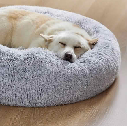 Photo of free Donut dog bed (Battersea, SW11) #1