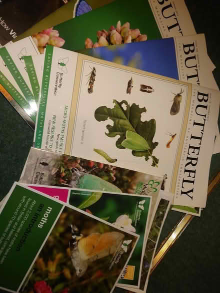 Photo of free Selection of old science magazines (Belper DE56 2) #4