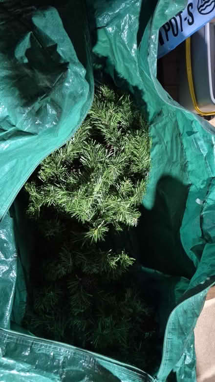 Photo of free Christmas decorations (Danbury, CM3) #1